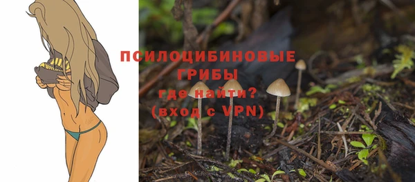 стафф Каменск-Шахтинский