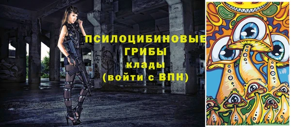 стафф Каменск-Шахтинский