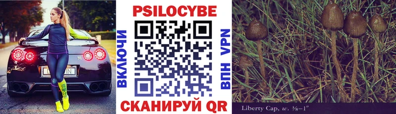 Галлюциногенные грибы ЛСД  Купить закладки  Гудермес 